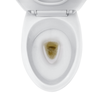 badkamer toilet met donker gekleurde urine. transparant achtergrond png