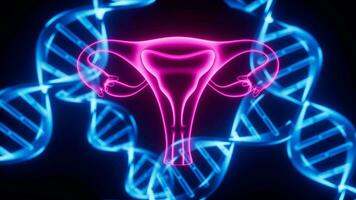 Uterus and DNA, reproductive system and genetic inheritance, 3d rendering. video