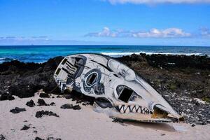 a boat with a skull painted on it is on the beach photo