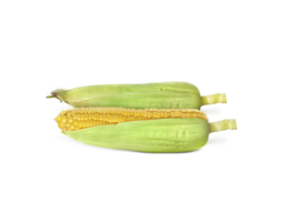 Fresh corn. Transparent background png