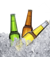 Three bottles of beer on ice cubes. transparent background png