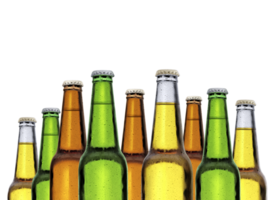 escarchado botellas de cerveza. transparente antecedentes png