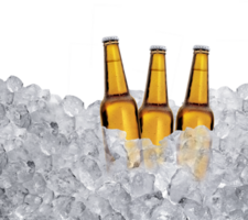 Tres botellas de cerveza en hielo cubitos. transparente antecedentes png