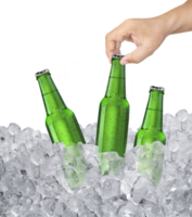 Mann halten kalt Bier Flasche im Eis Würfel mit gekühlt Bier Flasche. transparent Hintergrund png