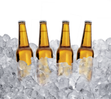 cuatro botellas de cerveza en hielo cubitos. transparente antecedentes png