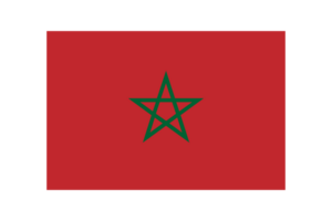 The national flag of Morocco with official color and proportion transparent png