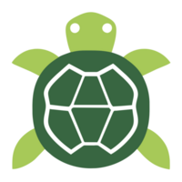 très mignonne tortue png