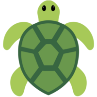 muy linda Tortuga png