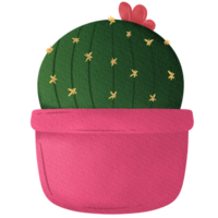 cactus in a flowerpot png