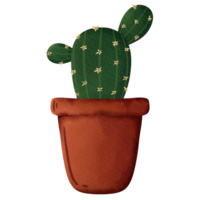 cactus in a flowerpot png