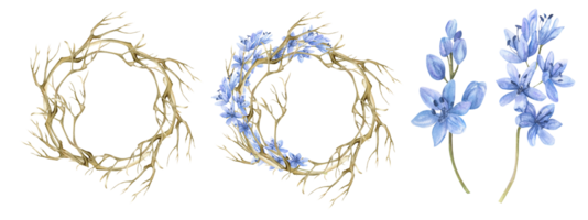 Aquarell Frühling Licht Blumen- Satz. Hand gezeichnet nackt Ast Kranz, runden Rahmen mit zuerst Blau Blumen, lila Blumen Stängel zum Einladung, Hochzeit, Blumen- Geschäft, Etikett, Logo Design png