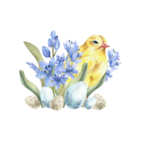 Watercolor happy Easter composition with yellow chicken, first spring blue pale flowers and eggs. Hand drawn vintage painting for invitation, label, logo, packing design png