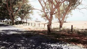 das öffnen Straße im Kimberly von Western Australien video