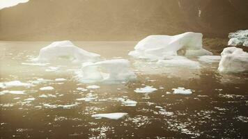 A wide low angle view of melting sea ice floes in still waters of Arctic video