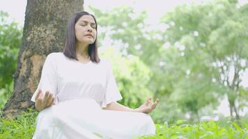 vrouw mediteren onder een boom naar houden haar geest kalm. video