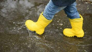 little boy walks through the puddles in the spring after the rain video