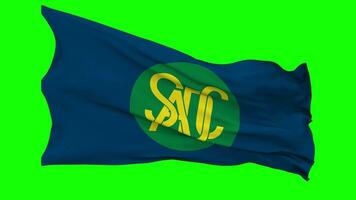 Southern African Development Community, SADC Flag Waving Seamless Loop in Wind, Chroma Key Green Screen, Luma Matte Selection video