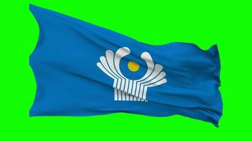 Commonwealth of Independent States, CIS Flag Waving Seamless Loop in Wind, Chroma Key Green Screen, Luma Matte Selection video