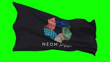 Neom Flag Waving Seamless Loop in Wind, Chroma Key Green Screen, Luma Matte Selection video