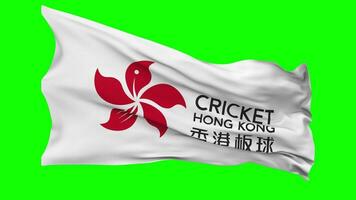 Cricket Hong Kong Flag Waving Seamless Loop in Wind, Chroma Key Green Screen, Luma Matte Selection video