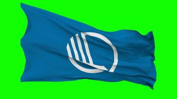 Nordic Council Flag Waving Seamless Loop in Wind, Chroma Key Green Screen, Luma Matte Selection video