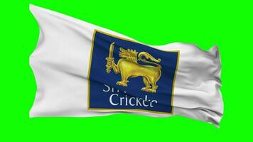 Sri Lanka Cricket, SLC Flag Waving Seamless Loop in Wind, Chroma Key Green Screen, Luma Matte Selection video