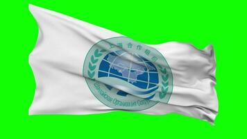 Shanghai Cooperation Organisation, SCO Flag Waving Seamless Loop in Wind, Chroma Key Green Screen, Luma Matte Selection video