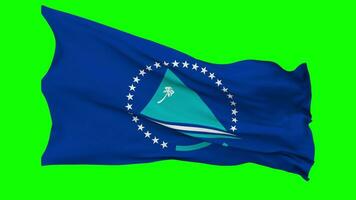 Pacific Community, PC, South Pacific Commission, SPC Flag Waving Seamless Loop in Wind, Chroma Key Green Screen, Luma Matte Selection video