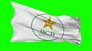 Paquistão Grilo quadro, pcb bandeira acenando desatado ciclo dentro vento, croma chave verde tela, luma fosco seleção video