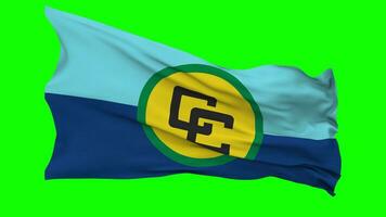 Caribbean Community, CARICOM Flag Waving Seamless Loop in Wind, Chroma Key Green Screen, Luma Matte Selection video