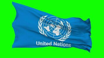 United Nations, UN Flag Waving Seamless Loop in Wind, Chroma Key Green Screen, Luma Matte Selection video