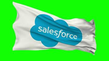 Salesforce Inc Flag Waving Seamless Loop in Wind, Chroma Key Green Screen, Luma Matte Selection video