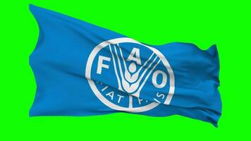 Food and Agriculture Organization, FAO Flag Waving Seamless Loop in Wind, Chroma Key Green Screen, Luma Matte Selection video