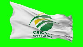 Cricket South Africa, CSA Flag Waving Seamless Loop in Wind, Chroma Key Green Screen, Luma Matte Selection video