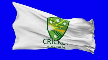 cricket Australia, australiano cricket asse, circa, acb bandiera agitando senza soluzione di continuità ciclo continuo nel vento, croma chiave verde schermo, luma Opaco selezione video