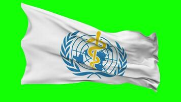 wereld Gezondheid organisatie, wie vlag golvend naadloos lus in wind, chroma sleutel groen scherm, luma matte selectie video