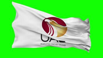 Unidos árabe Emirados Grilo borda bandeira acenando desatado ciclo dentro vento, croma chave verde tela, luma fosco seleção video
