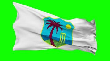 Cricket West Indies, CWI Flag Waving Seamless Loop in Wind, Chroma Key Green Screen, Luma Matte Selection video