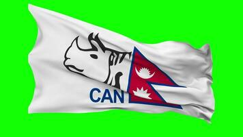 Grilo Associação do Nepal, pode bandeira acenando desatado ciclo dentro vento, croma chave verde tela, luma fosco seleção video