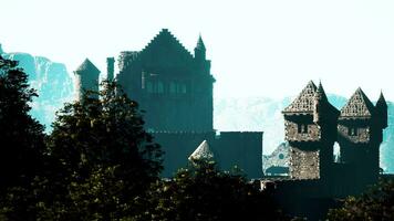 aérien vue de médiéval Château avec interne et extérieur Cour video