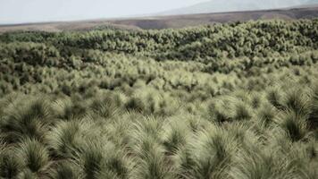 Red Rock Canyon National Park video