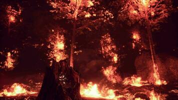 intenso fiamme a partire dal un' massiccio foresta fuoco video