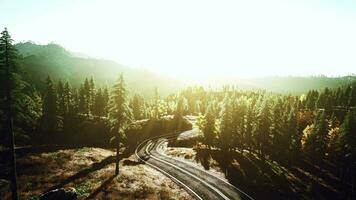 un vacío la carretera devanado mediante un pintoresco bosque a puesta de sol video