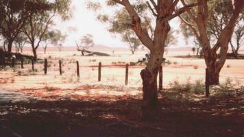 The open road in Kimberly of Western Australia video