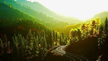 A winding road through a picturesque forest at sunset video