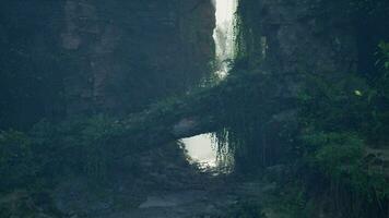 un' bellissimo pietra ponte in mezzo un' lussureggiante foresta paesaggio video