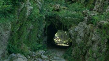 A moss-covered tunnel in a lush tropical jungle video