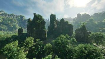 A lush forest landscape with towering trees and rugged rocks video