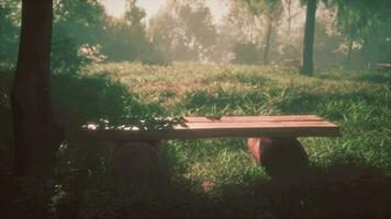 Cosy wooden bench under a tree in idyllic rural landscape with sun shining video