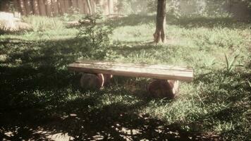 gammal sjaskig trä- bänk i parkera tillverkad av en enda träd trunk video